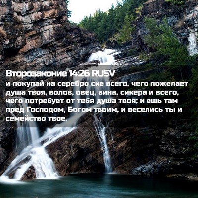 Picture 02 - Второзаконие 14:26 RUSV - и покупай на серебро сие - Bible Verse Picture