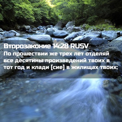Picture 02 - Второзаконие 14:28 RUSV - По прошествии же трех лет - Bible Verse Picture