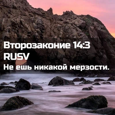 Picture 02 - Второзаконие 14:3 RUSV - Не ешь никакой - Bible Verse Picture