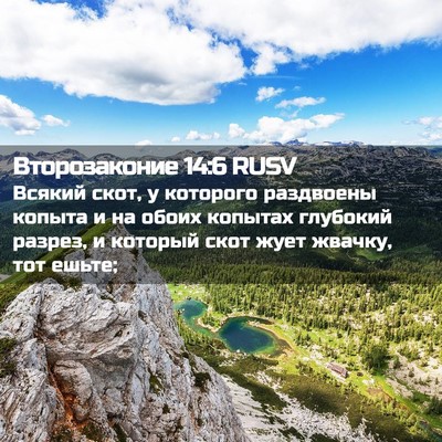 Picture 02 - Второзаконие 14:6 RUSV - Всякий скот, у которого - Bible Verse Picture