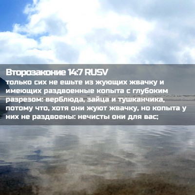 Picture 02 - Второзаконие 14:7 RUSV - только сих не ешьте из - Bible Verse Picture