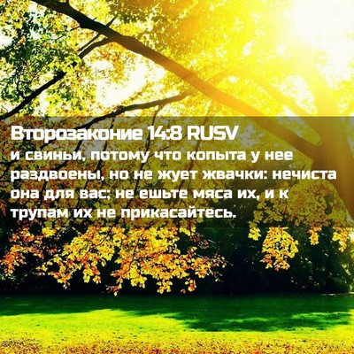 Picture 02 - Второзаконие 14:8 RUSV - и свиньи, потому что копыта - Bible Verse Picture