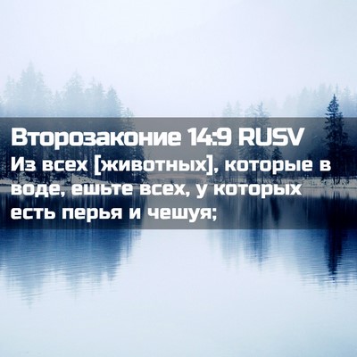 Picture 02 - Второзаконие 14:9 RUSV - Из всех [животных], которые - Bible Verse Picture