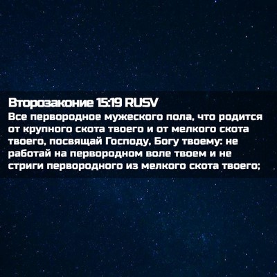 Picture 02 - Второзаконие 15:19 RUSV - Все первородное мужеского - Bible Verse Picture