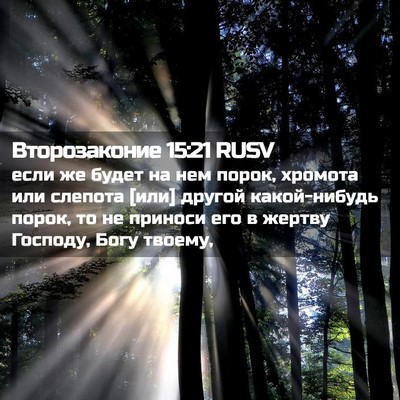 Picture 02 - Второзаконие 15:21 RUSV - если же будет на нем порок, - Bible Verse Picture