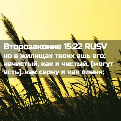 Picture 02 - Второзаконие 15:22 RUSV - но в жилищах твоих ешь его; - Bible Verse Picture