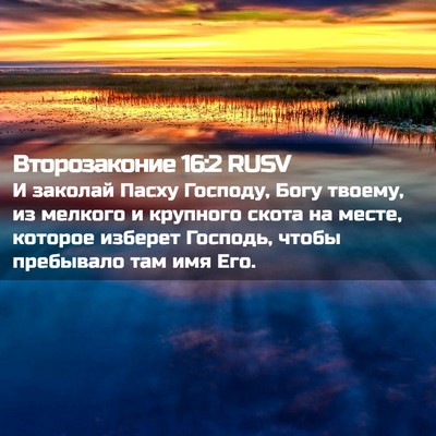 Picture 02 - Второзаконие 16:2 RUSV - И заколай Пасху Господу, - Bible Verse Picture