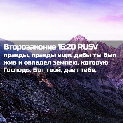Picture 02 - Второзаконие 16:20 RUSV - правды, правды ищи, дабы ты - Bible Verse Picture