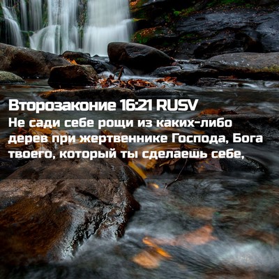 Picture 02 - Второзаконие 16:21 RUSV - Не сади себе рощи из - Bible Verse Picture