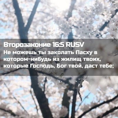 Picture 02 - Второзаконие 16:5 RUSV - Не можешь ты заколать - Bible Verse Picture