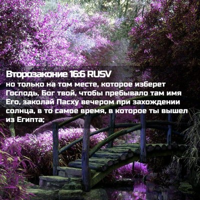 Picture 02 - Второзаконие 16:6 RUSV - но только на том месте, - Bible Verse Picture