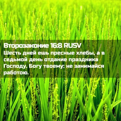 Picture 02 - Второзаконие 16:8 RUSV - Шесть дней ешь пресные - Bible Verse Picture