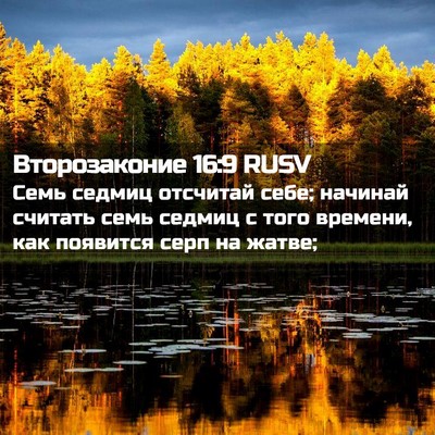 Picture 02 - Второзаконие 16:9 RUSV - Семь седмиц отсчитай себе; - Bible Verse Picture