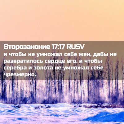 Picture 02 - Второзаконие 17:17 RUSV - и чтобы не умножал себе - Bible Verse Picture