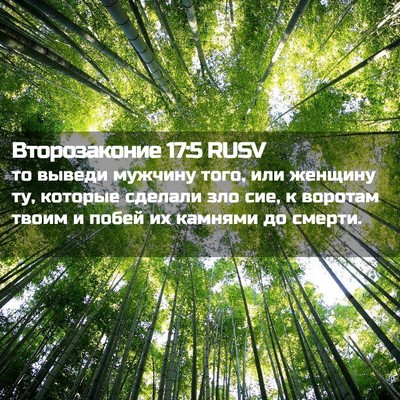 Picture 02 - Второзаконие 17:5 RUSV - то выведи мужчину того, или - Bible Verse Picture