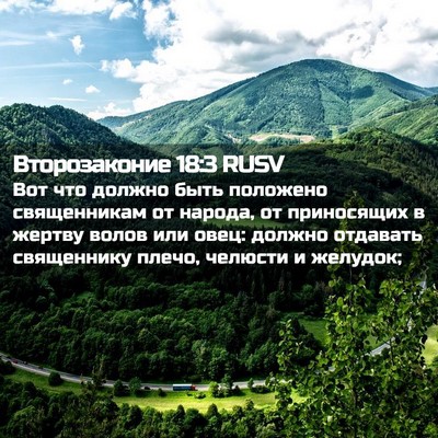 Picture 02 - Второзаконие 18:3 RUSV - Вот что должно быть - Bible Verse Picture