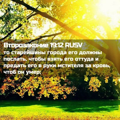Picture 02 - Второзаконие 19:12 RUSV - то старейшины города его - Bible Verse Picture
