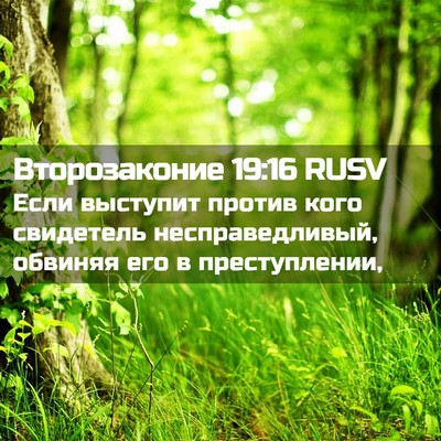 Picture 02 - Второзаконие 19:16 RUSV - Если выступит против кого - Bible Verse Picture