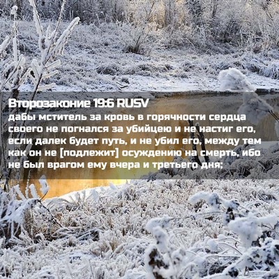 Picture 02 - Второзаконие 19:6 RUSV - дабы мститель за кровь в - Bible Verse Picture