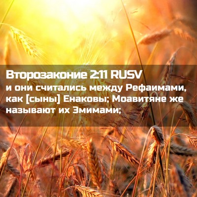 Picture 02 - Второзаконие 2:11 RUSV - и они считались между - Bible Verse Picture