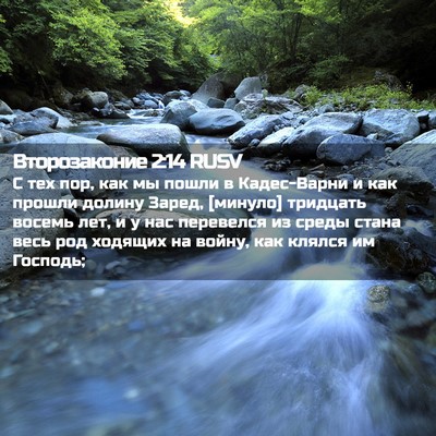 Picture 02 - Второзаконие 2:14 RUSV - С тех пор, как мы пошли в - Bible Verse Picture