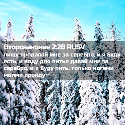 Picture 02 - Второзаконие 2:28 RUSV - пищу продавай мне за - Bible Verse Picture