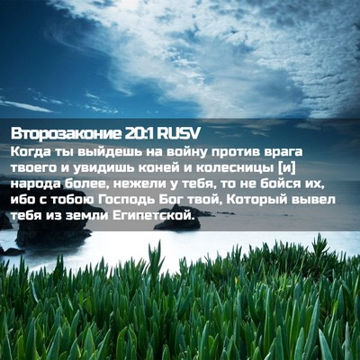 Picture 02 - Второзаконие 20:1 RUSV - Когда ты выйдешь на войну - Bible Verse Picture