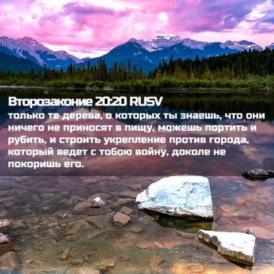 Picture 02 - Второзаконие 20:20 RUSV - только те дерева, о которых - Bible Verse Picture