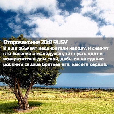 Picture 02 - Второзаконие 20:8 RUSV - И еще объявят надзиратели - Bible Verse Picture