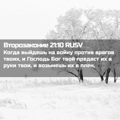 Picture 02 - Второзаконие 21:10 RUSV - Когда выйдешь на войну - Bible Verse Picture