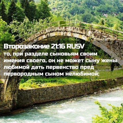 Picture 02 - Второзаконие 21:16 RUSV - то, при разделе сыновьям - Bible Verse Picture