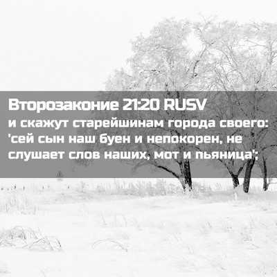 Picture 02 - Второзаконие 21:20 RUSV - и скажут старейшинам - Bible Verse Picture