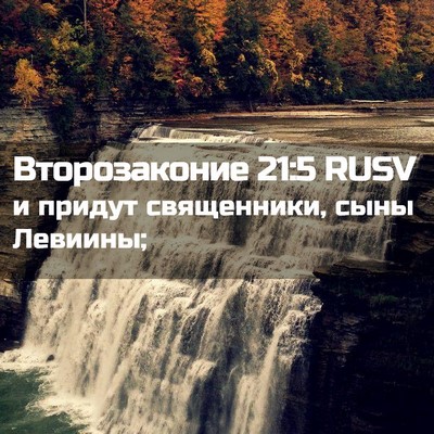 Picture 02 - Второзаконие 21:5 RUSV - и придут священники, сыны - Bible Verse Picture