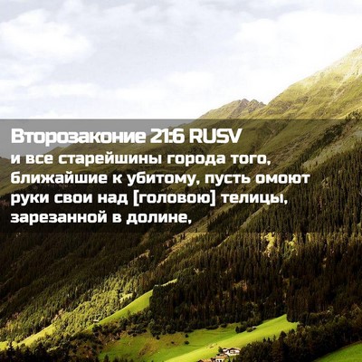 Picture 02 - Второзаконие 21:6 RUSV - и все старейшины города - Bible Verse Picture