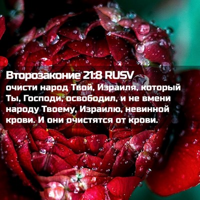Picture 02 - Второзаконие 21:8 RUSV - очисти народ Твой, Израиля, - Bible Verse Picture