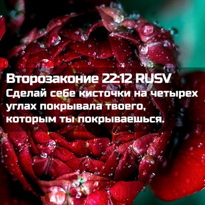 Picture 02 - Второзаконие 22:12 RUSV - Сделай себе кисточки на - Bible Verse Picture