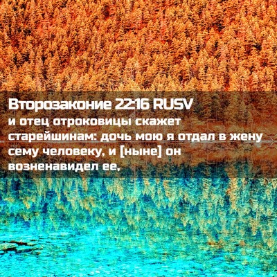 Picture 02 - Второзаконие 22:16 RUSV - и отец отроковицы скажет - Bible Verse Picture