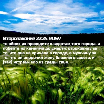 Picture 02 - Второзаконие 22:24 RUSV - то обоих их приведите к - Bible Verse Picture