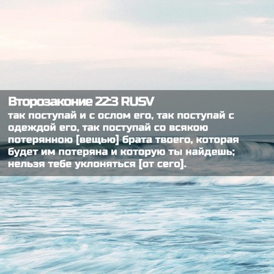 Picture 02 - Второзаконие 22:3 RUSV - так поступай и с ослом его, - Bible Verse Picture