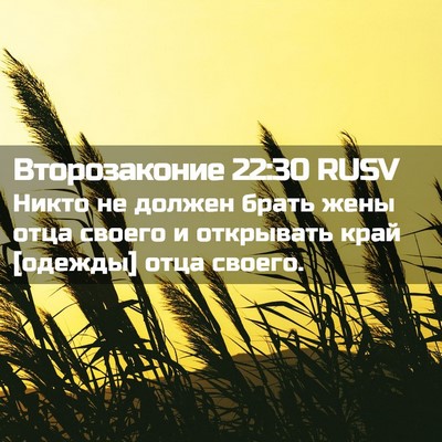 Picture 02 - Второзаконие 22:30 RUSV - Никто не должен брать жены - Bible Verse Picture