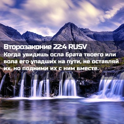Picture 02 - Второзаконие 22:4 RUSV - Когда увидишь осла брата - Bible Verse Picture