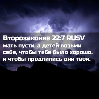Picture 02 - Второзаконие 22:7 RUSV - мать пусти, а детей возьми - Bible Verse Picture