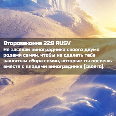 Picture 02 - Второзаконие 22:9 RUSV - Не засевай виноградника - Bible Verse Picture