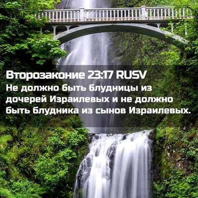 Picture 02 - Второзаконие 23:17 RUSV - Не должно быть блудницы из - Bible Verse Picture