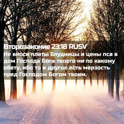 Picture 02 - Второзаконие 23:18 RUSV - Не вноси платы блудницы и - Bible Verse Picture