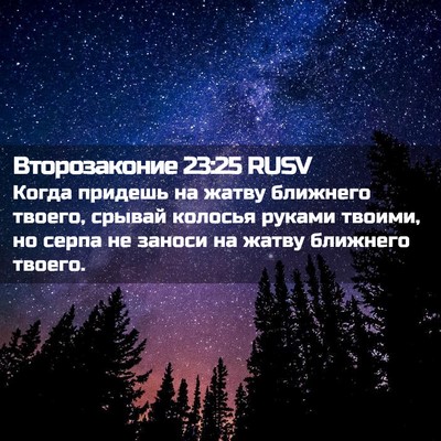 Picture 02 - Второзаконие 23:25 RUSV - Когда придешь на жатву - Bible Verse Picture