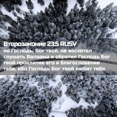 Picture 02 - Второзаконие 23:5 RUSV - но Господь, Бог твой, не - Bible Verse Picture
