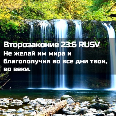 Picture 02 - Второзаконие 23:6 RUSV - Не желай им мира и - Bible Verse Picture