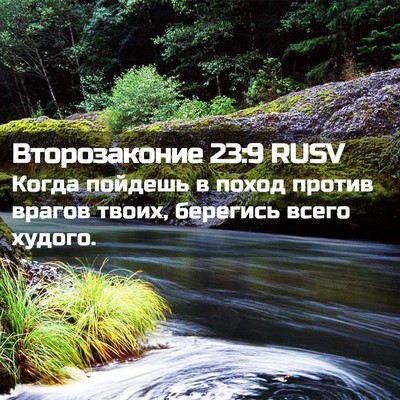 Picture 02 - Второзаконие 23:9 RUSV - Когда пойдешь в поход - Bible Verse Picture