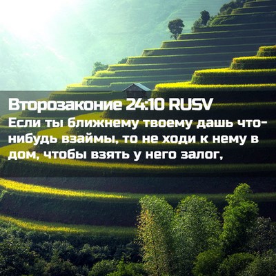 Picture 02 - Второзаконие 24:10 RUSV - Если ты ближнему твоему - Bible Verse Picture